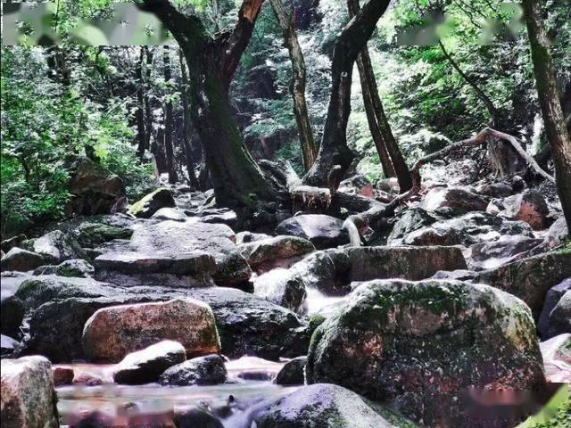 万孚生物血栓弹力图仪再添羽翼
