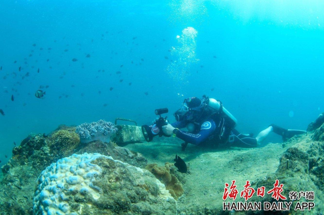 美图秀秀下载2023最新版